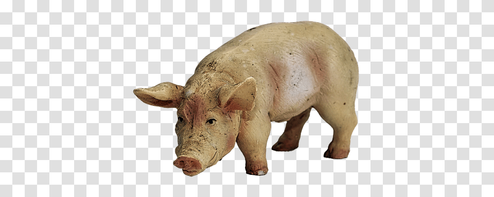 Pig Tool, Mammal, Animal, Hog Transparent Png