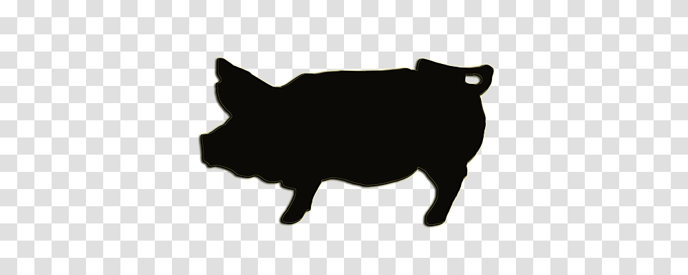 Pig Animals, Bull, Mammal, Antelope Transparent Png