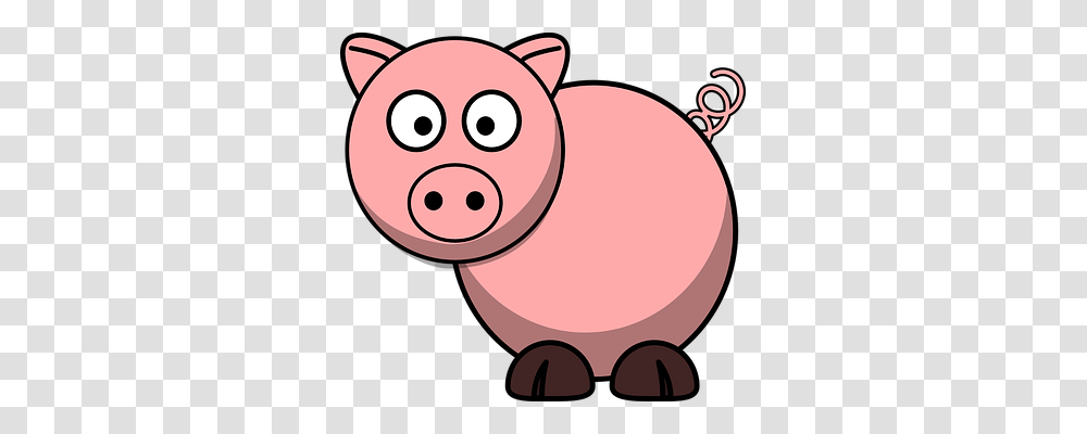 Pig Animals, Mammal, Piggy Bank, Snout Transparent Png