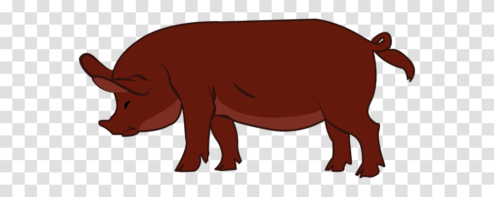 Pig Animals, Wildlife, Mammal, Horse Transparent Png