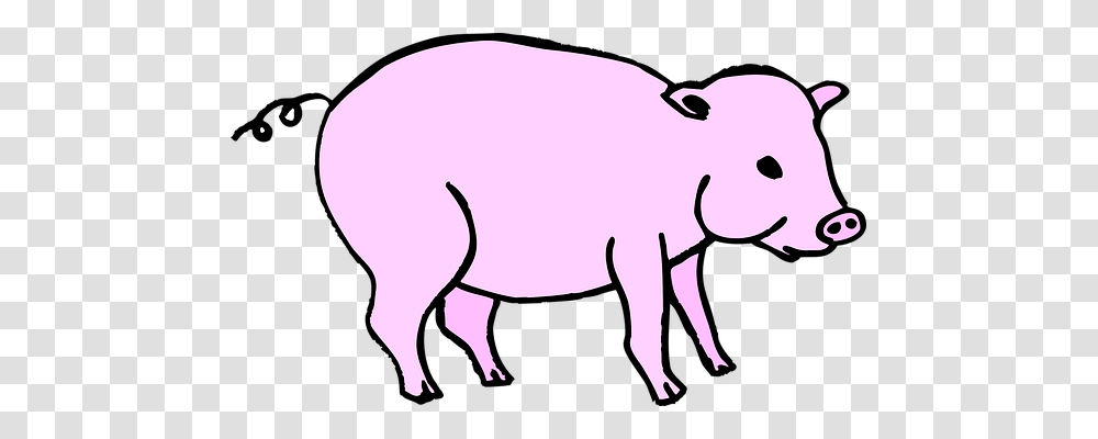 Pig Animals, Mammal, Hog, Wildlife Transparent Png
