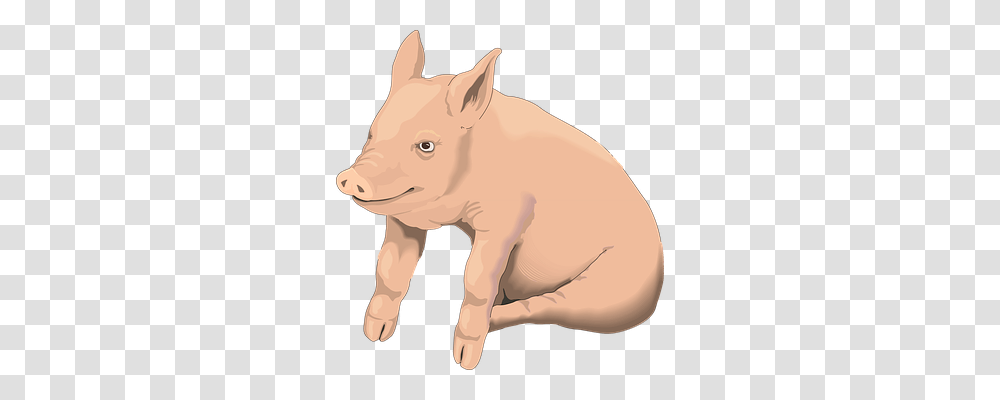 Pig Animals, Hog, Mammal, Boar Transparent Png