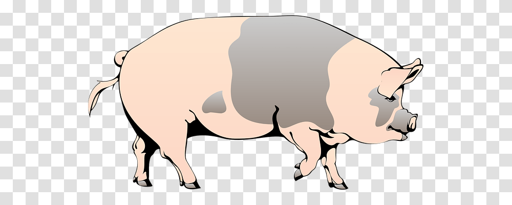 Pig Animals, Mammal, Hog, Bull Transparent Png