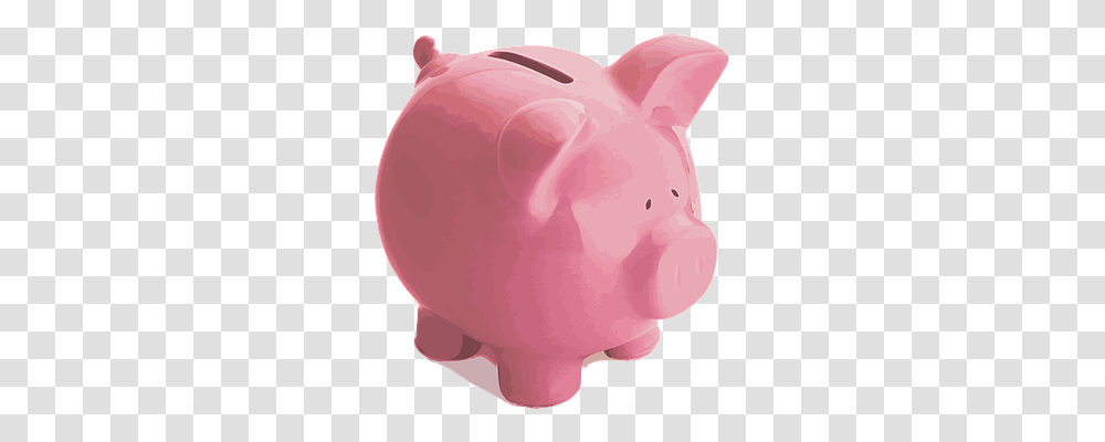 Pig Finance, Piggy Bank, Diaper, Helmet Transparent Png