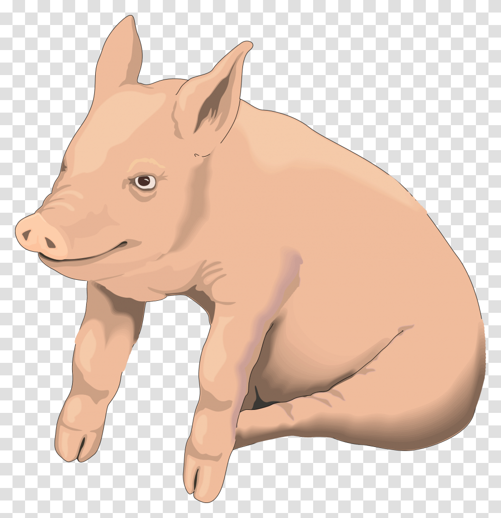 Pig, Animals, Mammal, Hog, Boar Transparent Png