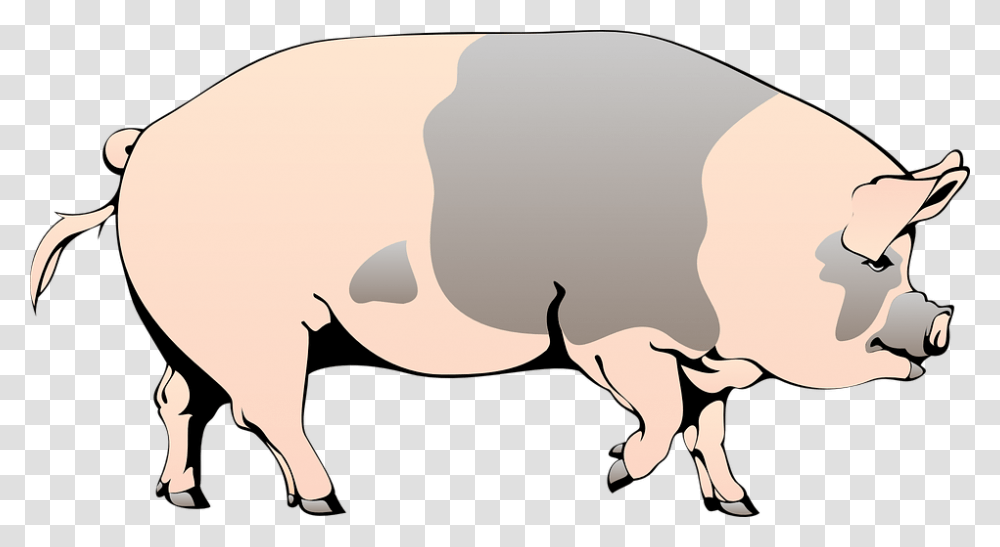 Pig Barn Farm Animal Spotted Slops Pig Clipart, Mammal, Hog, Bull, Boar Transparent Png