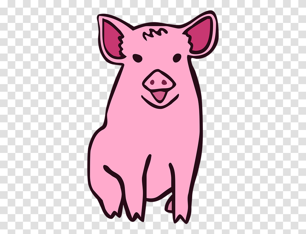 Pig Cartoon Animal Piglet Swine Hog Farm Piggy 30 50 Feral Hogs Twitter, Mammal, Boar Transparent Png