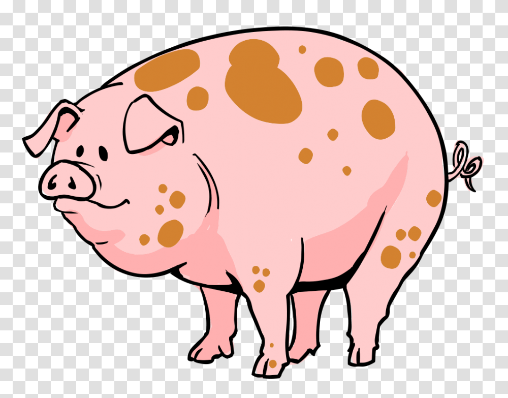 Pig Cartoon, Mammal, Animal, Hog, Piggy Bank Transparent Png