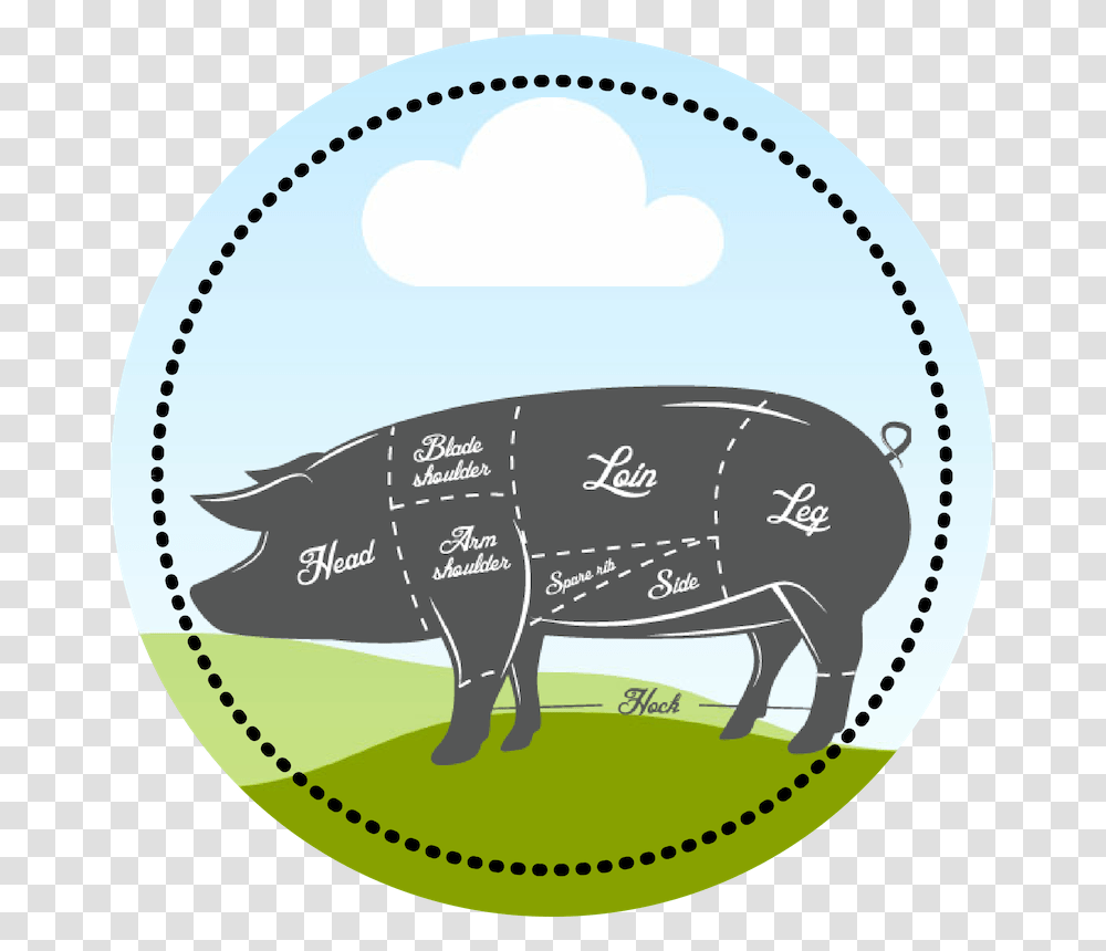 Pig Circle Illustration, Label, Mammal, Animal Transparent Png