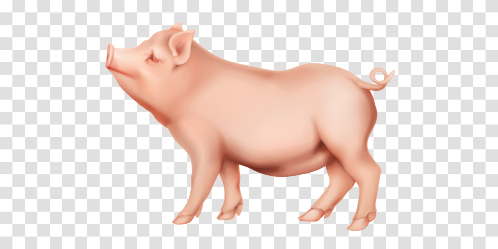 Pig Clip Art, Hog, Mammal, Animal, Person Transparent Png