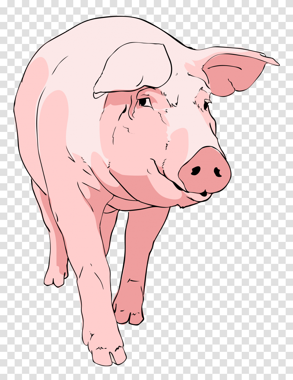 Pig Clipart 01 Clipart Pig, Hog, Mammal, Animal, Person Transparent Png