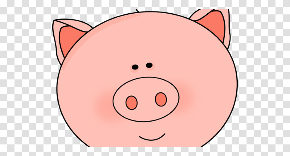 Pig Clipart, Face, Giant Panda, Wildlife, Mammal Transparent Png