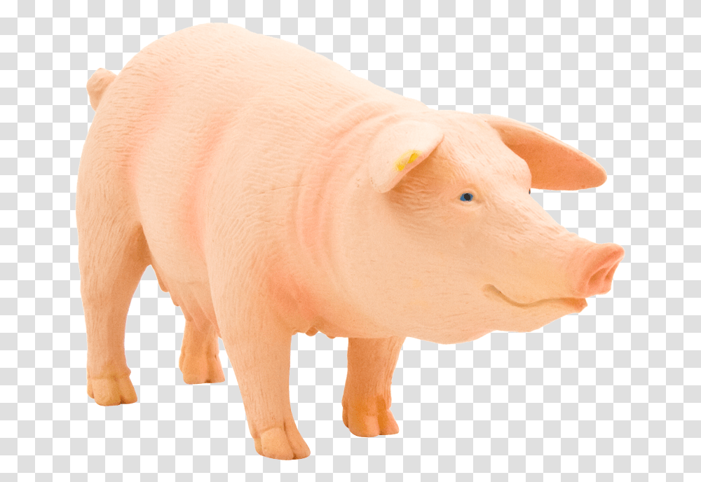 Pig Clipart, Mammal, Animal, Hog, Piggy Bank Transparent Png