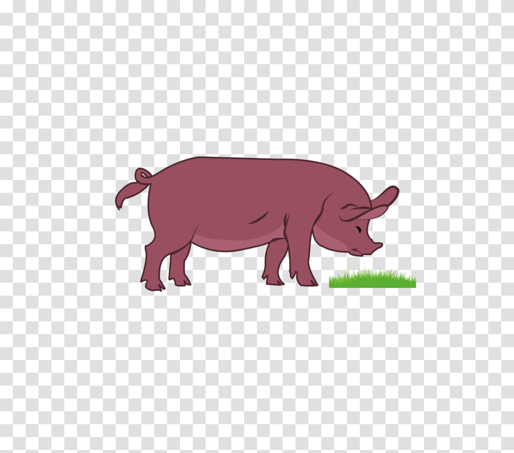 Pig Clipart Vector Image Download, Mammal, Animal, Wildlife, Buffalo Transparent Png
