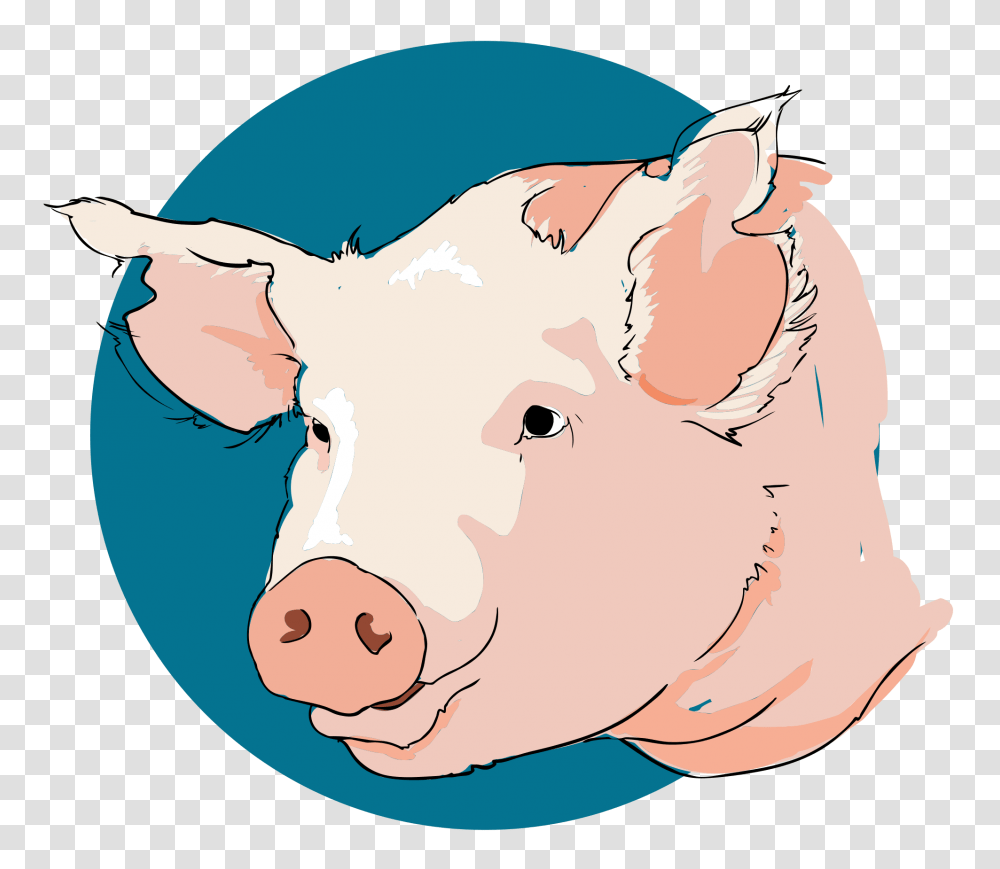 Pig Closeup, Mammal, Animal, Hog Transparent Png
