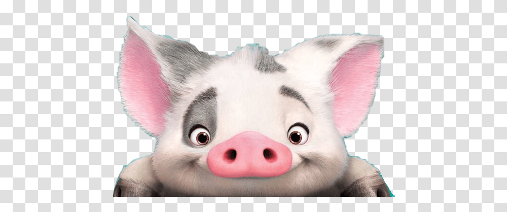 Pig Disney Moana Happy Easter, Mammal, Animal, Snout, Hog Transparent Png