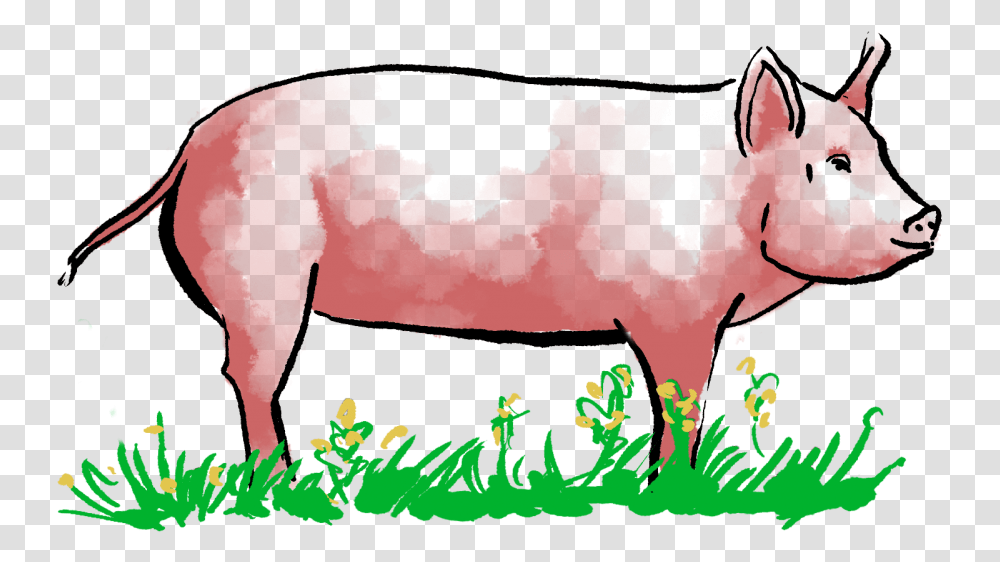 Pig Doodle, Outdoors, Nature, Land, Animal Transparent Png