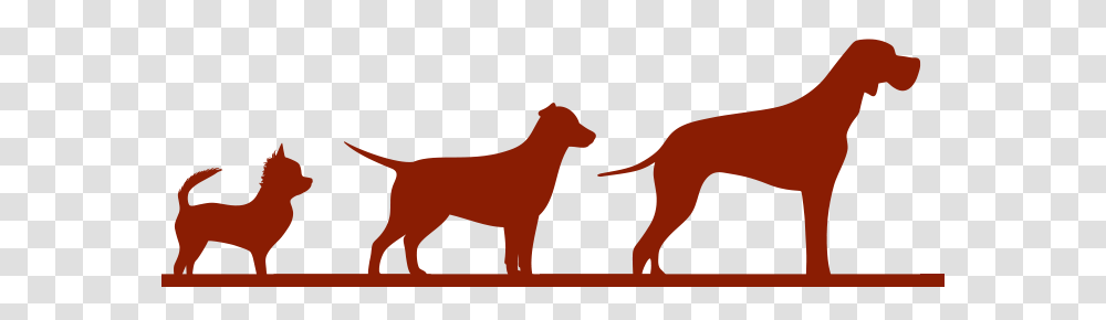 Pig Ears Jumbo, Horse, Mammal, Animal, Silhouette Transparent Png