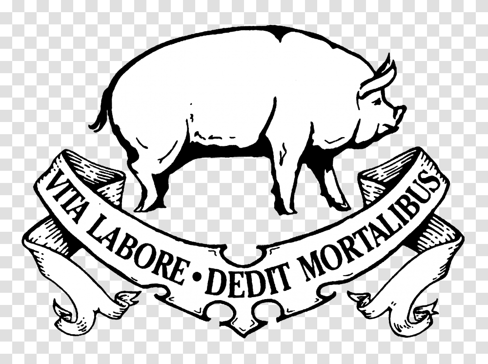 Pig Line Art, Mammal, Animal, Hog Transparent Png