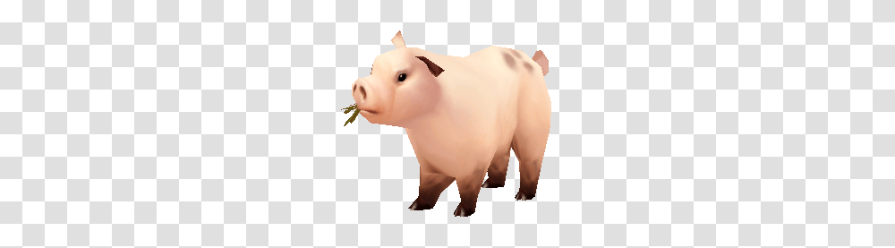 Pig, Mammal, Animal, Person, Human Transparent Png