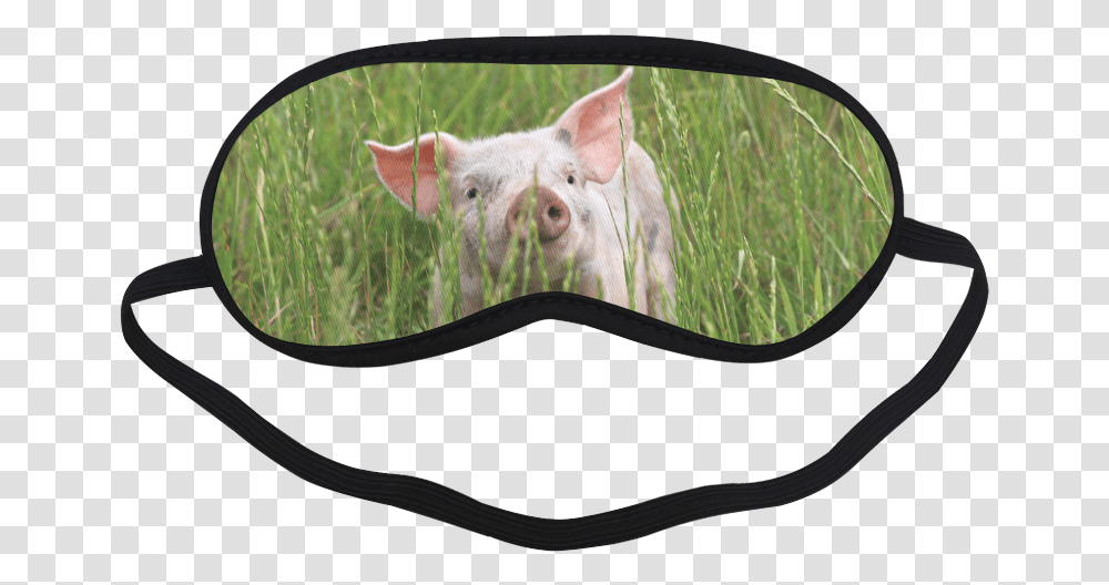 Pig Mask Eye Mask With Googly Eyes, Mammal, Animal, Hog, Mirror Transparent Png