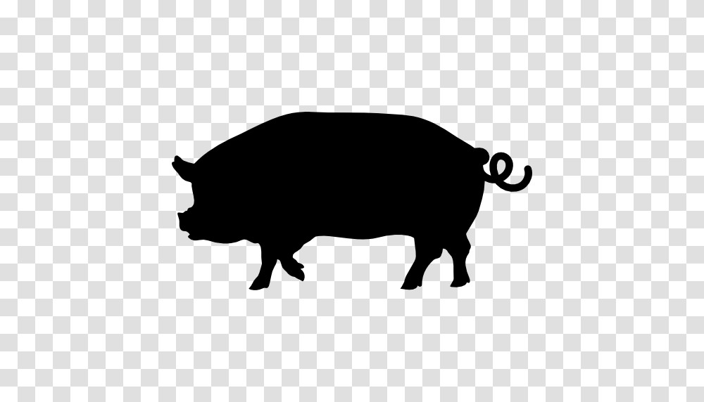Pig Side View Silhouette Free Vector Icons Designed, Mammal, Animal, Hog, Boar Transparent Png