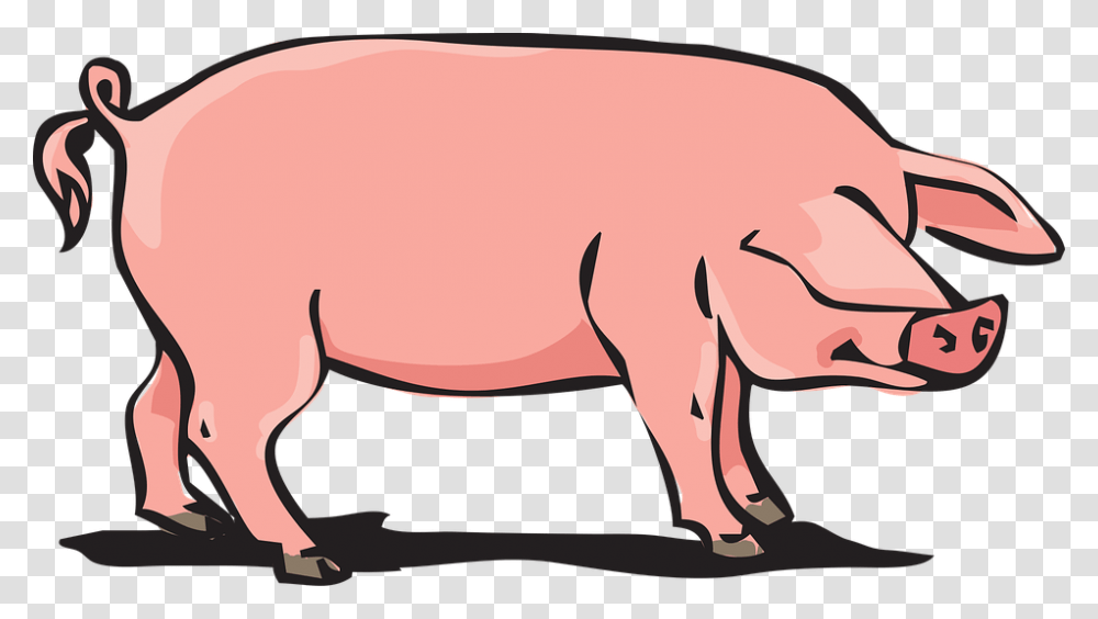 Pig Side View Silhouette Icons Free Download, Mammal, Animal, Wildlife, Hog Transparent Png