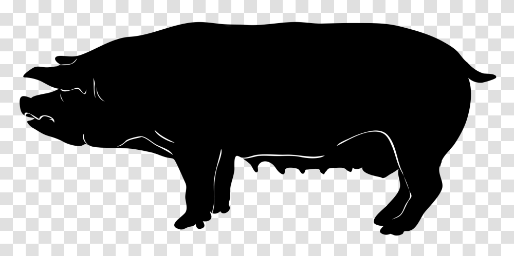 Pig Silhouette, Face, Photography, Musician, Musical Instrument Transparent Png