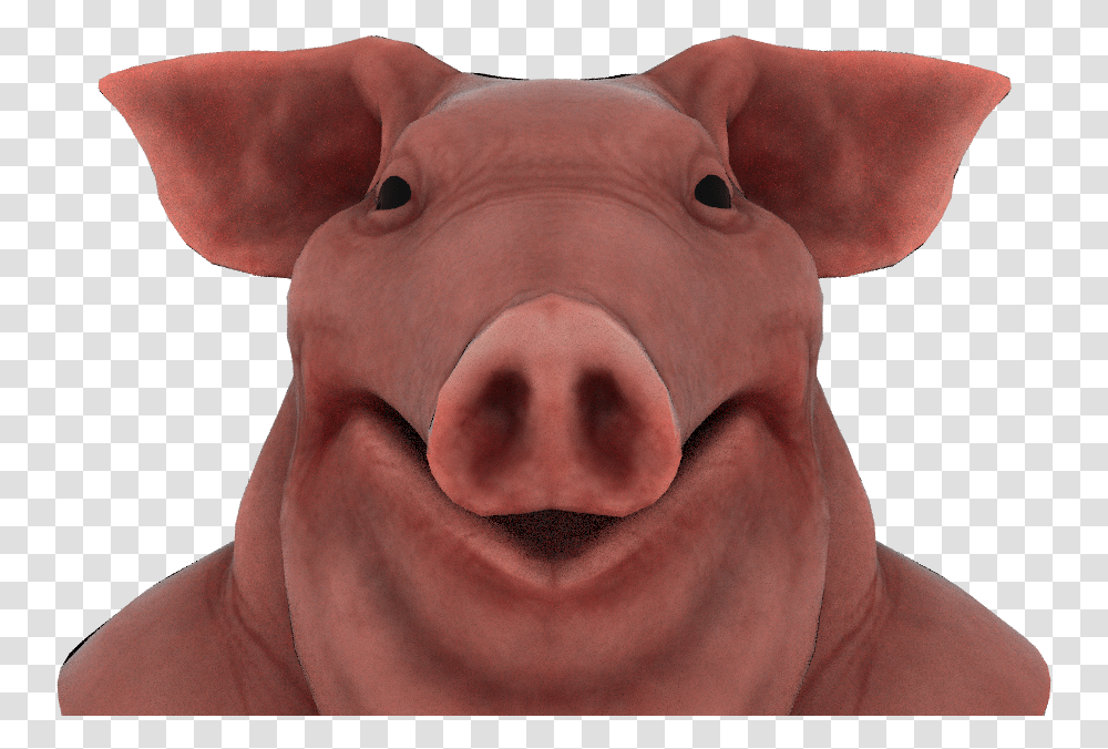 Pig Texture Houdini, Snout, Baby, Person, Human Transparent Png
