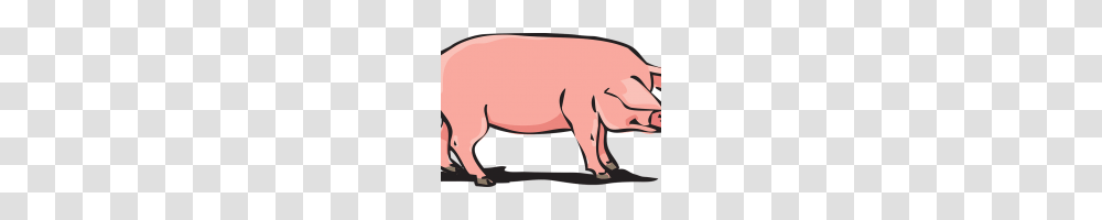 Pig Vector Art Pig Free Vector Art Free Downloads Clip Art, Mammal, Animal, Wildlife, Aardvark Transparent Png