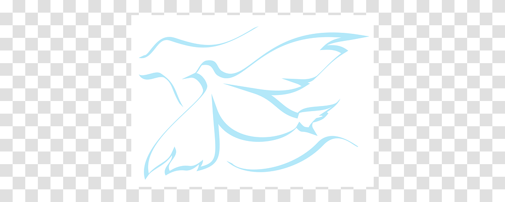 Pigeon Outdoors, Nature Transparent Png