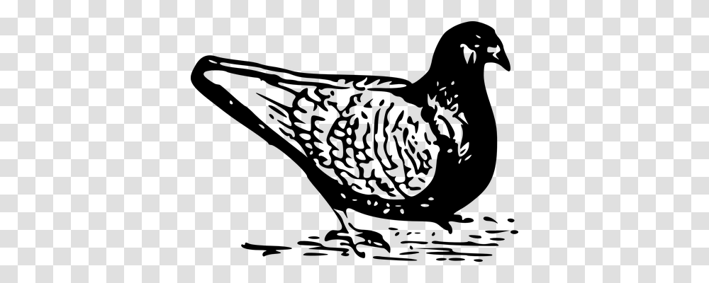 Pigeon Technology, Gray, World Of Warcraft Transparent Png