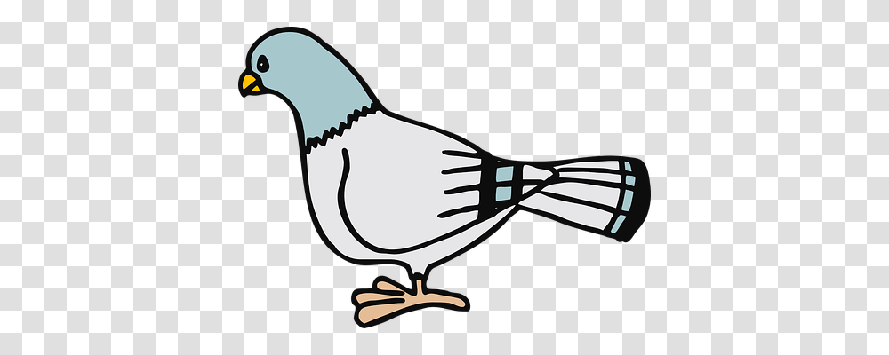 Pigeon Religion, Sunglasses, Accessories, Accessory Transparent Png