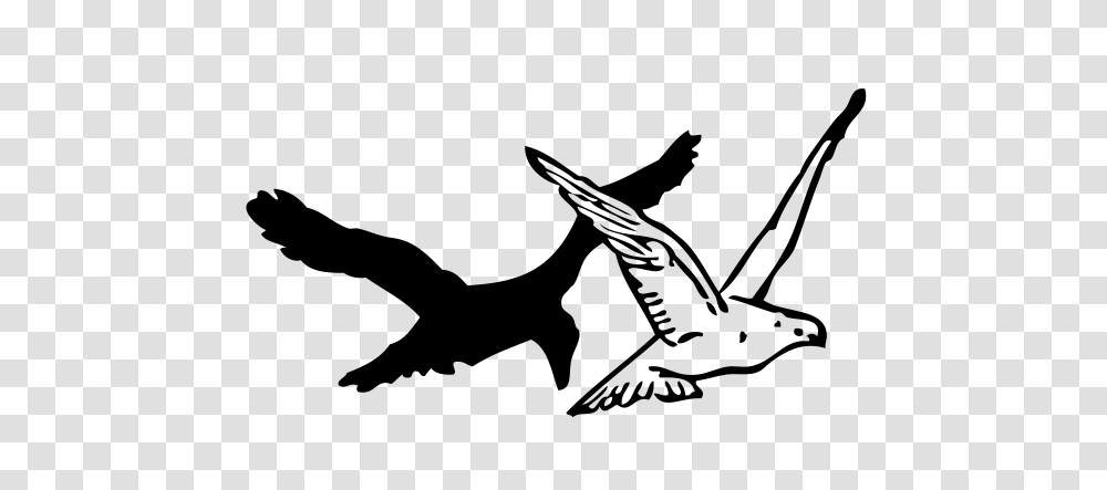 Pigeon And Crow Clip Arts For Web, Gray, World Of Warcraft Transparent Png
