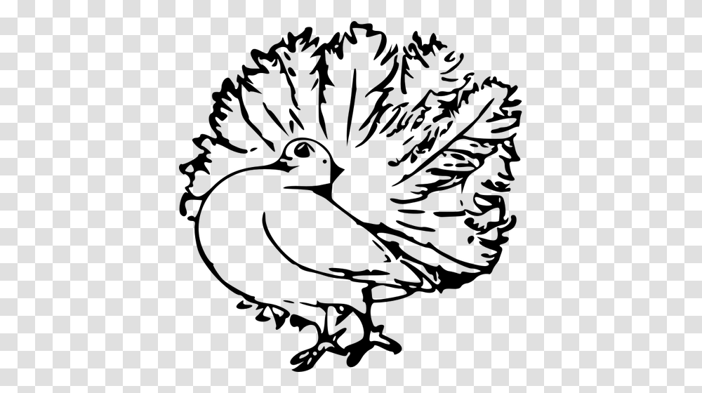 Pigeon And Feathers, Gray, World Of Warcraft Transparent Png