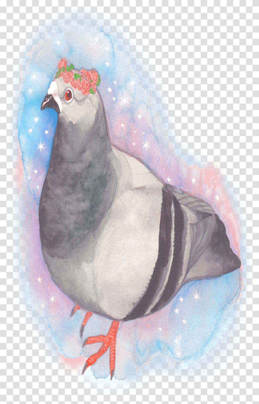 Pigeon, Animal, Bird, Dove, Sea Life Transparent Png