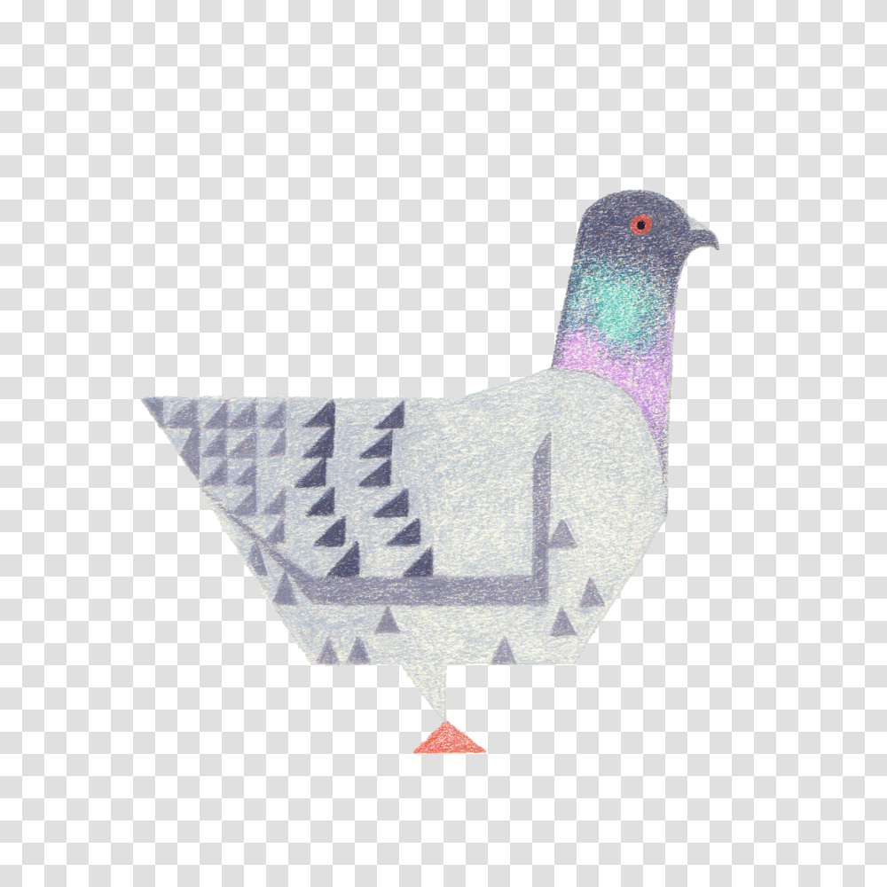 Pigeon, Bird, Animal, Doodle, Drawing Transparent Png