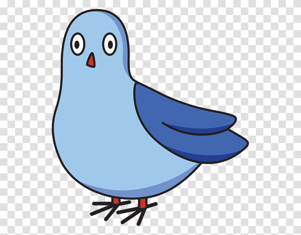 Pigeon Cartoon Bird Dove Silly Animal Cartoon Pigeon, Jay, Bluebird, Sunglasses, Accessories Transparent Png