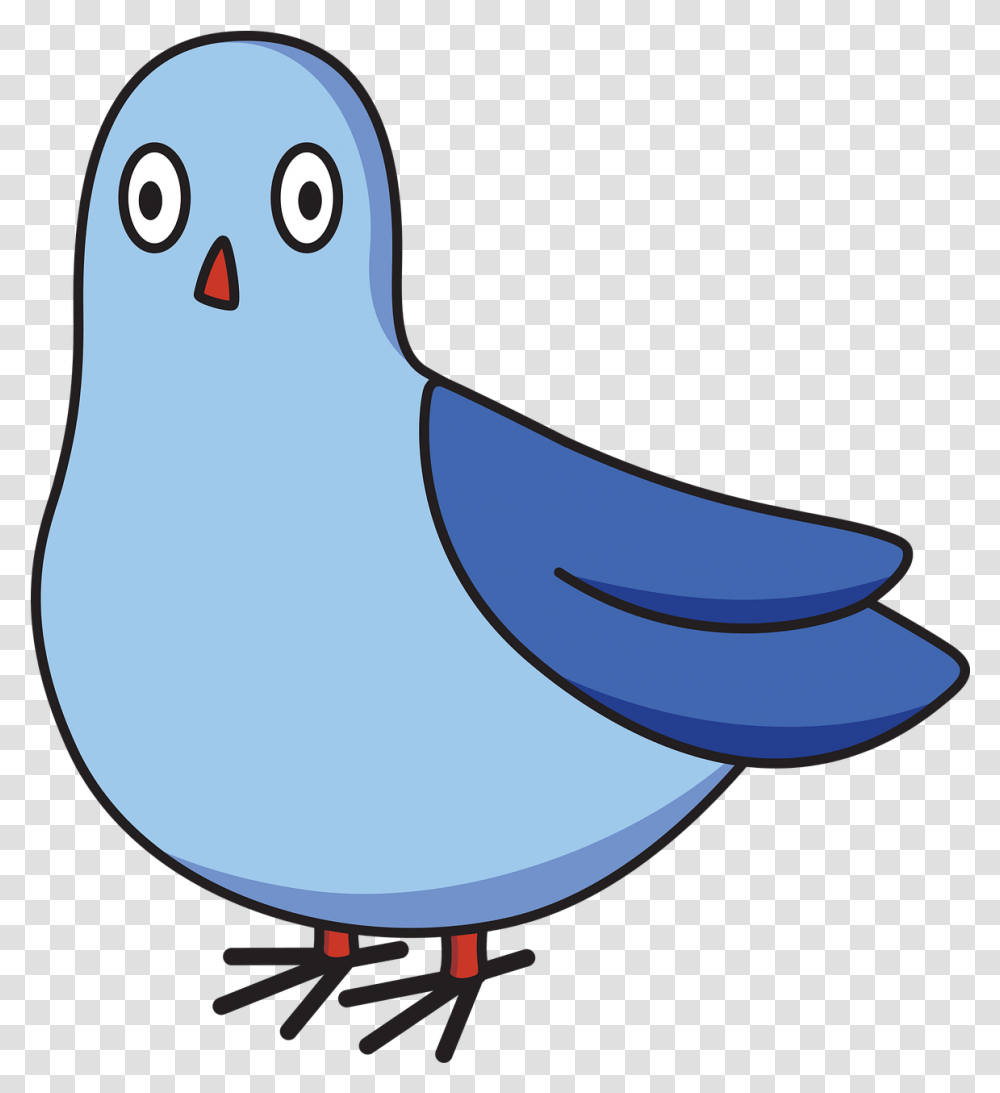 Pigeon Cartoon Bird Free Vector Graphic On Pixabay Pigeon Cartoon, Animal, Jay, Bluebird, Blue Jay Transparent Png