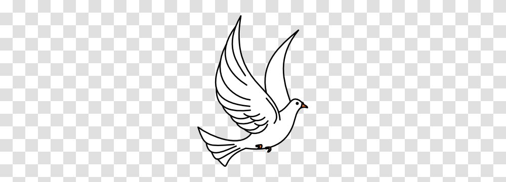 Pigeon Clip Art Black And White, Animal, Bird, Dove, Sea Life Transparent Png