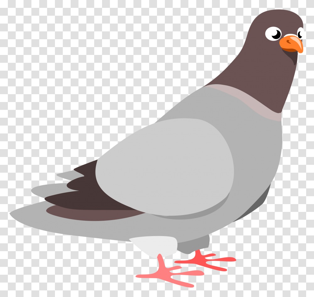 Pigeon Clip Art Free, Bird, Animal, Dove Transparent Png