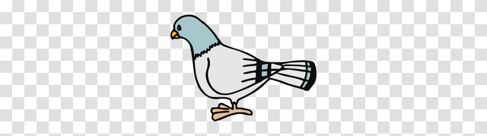 Pigeon Clip Art Free, Jay, Bird, Animal, Sunglasses Transparent Png