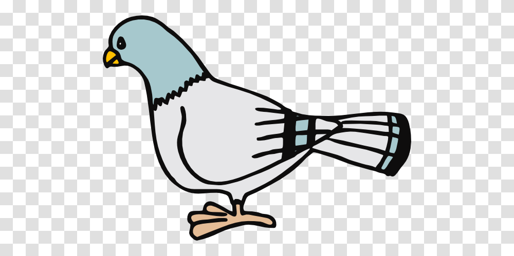 Pigeon Clip Art, Sunglasses, Animal, Bird, Jay Transparent Png