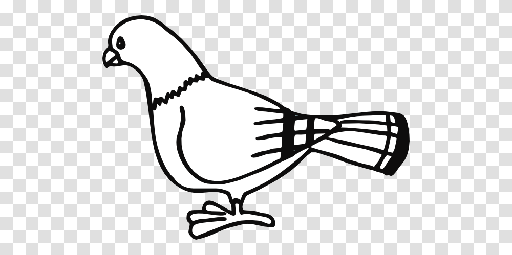 Pigeon Clipart Drawn, Sunglasses, Bird, Animal, Outdoors Transparent Png