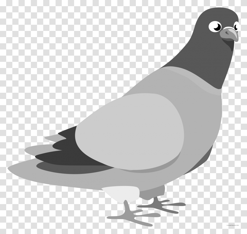 Pigeon Clipart Karuna Pigeon Clip Art, Bird, Animal, Dove Transparent Png