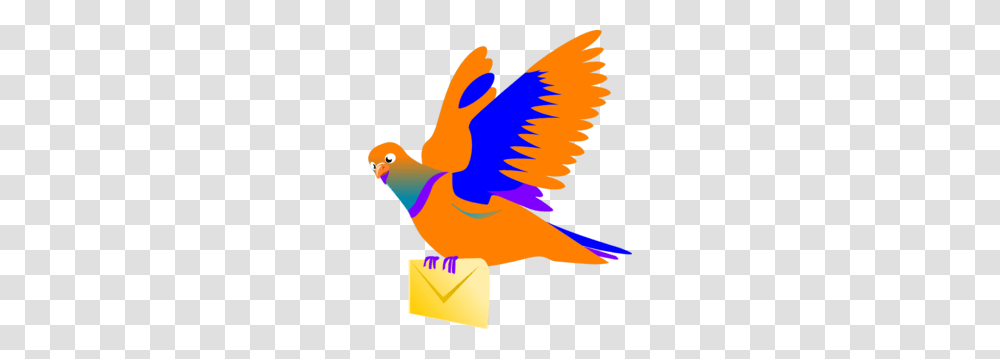 Pigeon Clipart Mail, Animal, Bird, Flying, Parrot Transparent Png