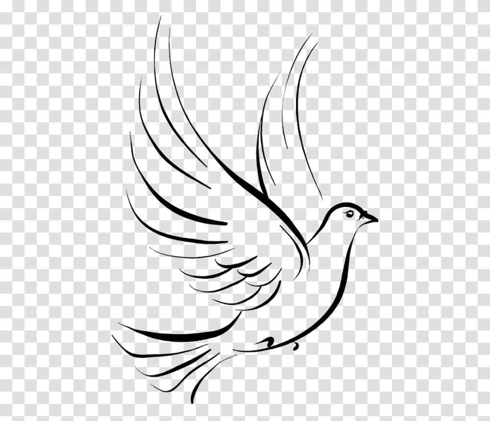 Pigeon Clipart Paloma Symbol Of Faith In God, Bird, Animal, Dove, Flying Transparent Png