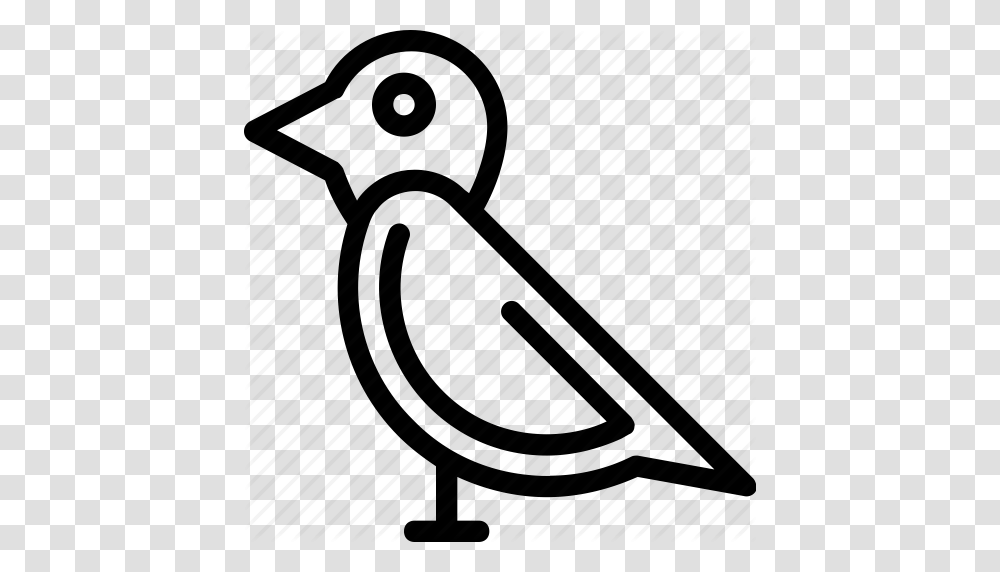 Pigeon Clipart Sparrow, Chair, Furniture, Racket Transparent Png