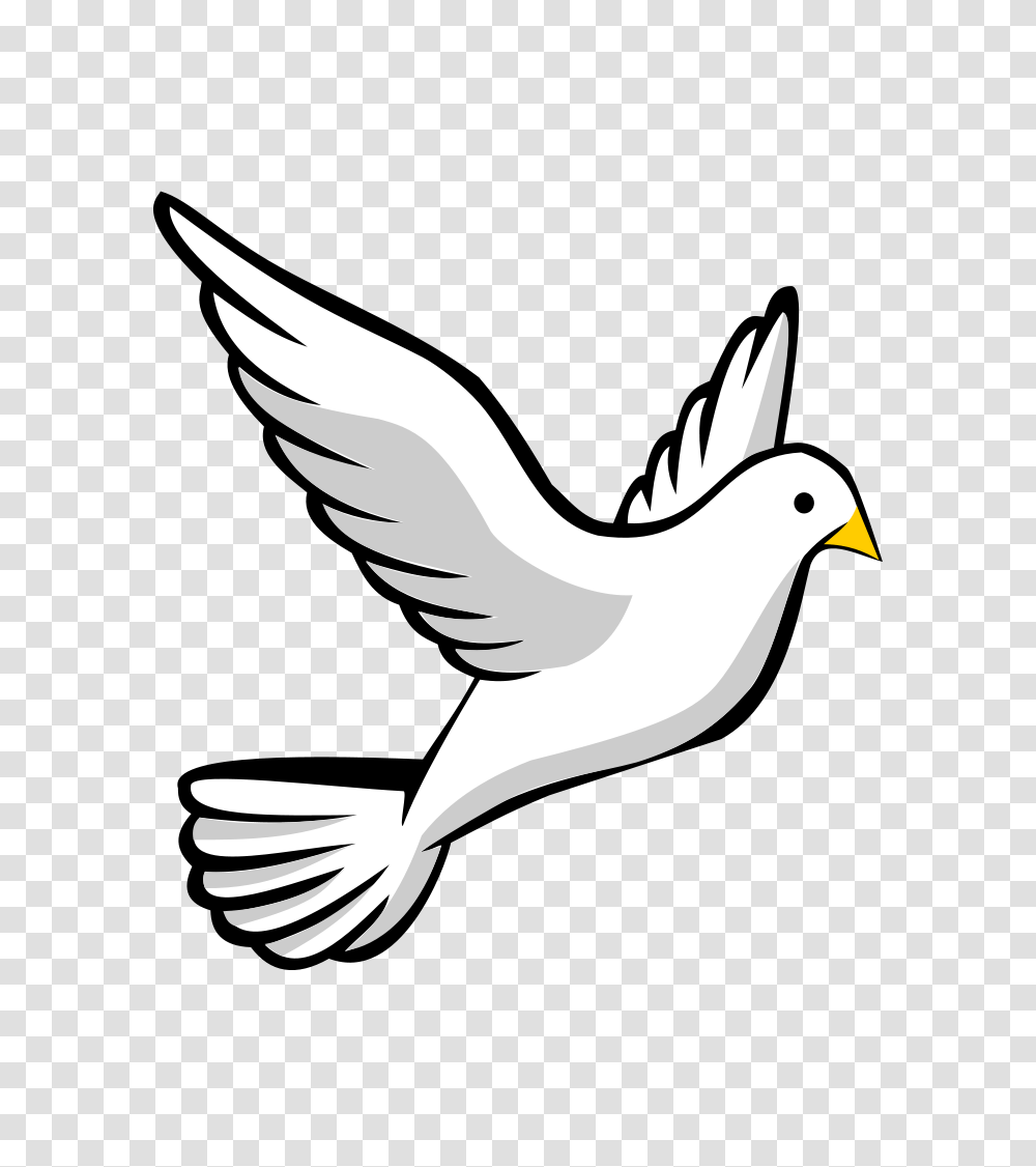 Pigeon Clipart Turtle Dove, Bird, Animal, Flying, Sea Life Transparent Png