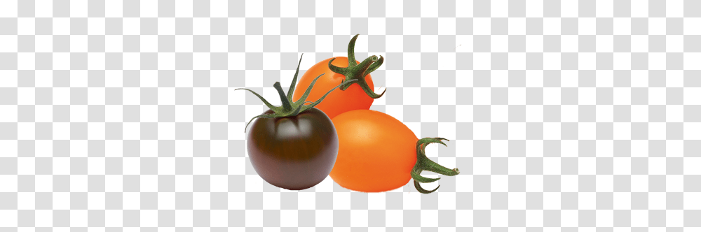Pigeon Heart Colour Tomatoes Saveol, Plant, Vegetable, Food, Lamp Transparent Png
